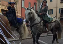 Busca si rievoca 2016